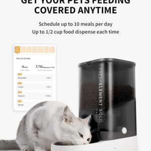 Solar-Powered Pet Feeder with Timer