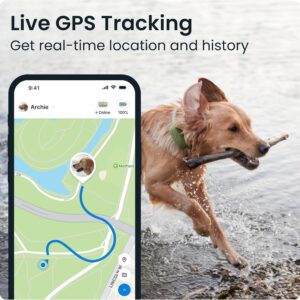 Dog GPS Tracker