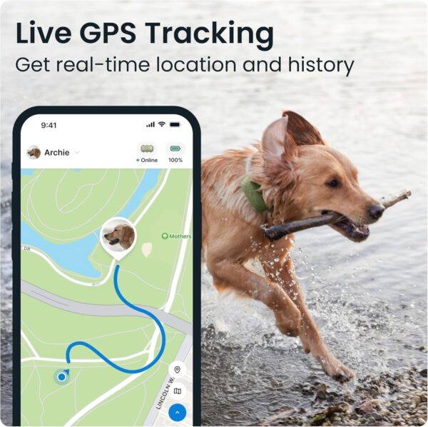 Dog GPS Tracker