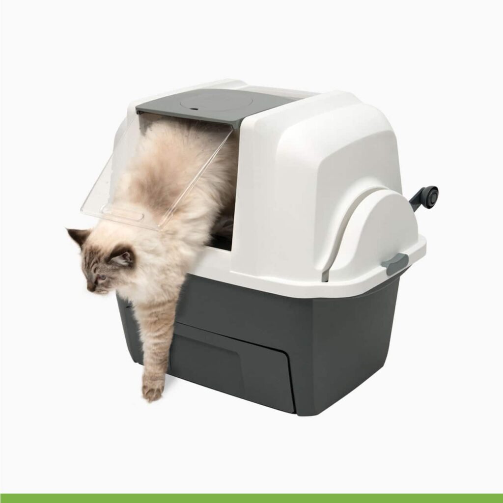 Catit Smartsift Litter Box: The Ultimate Solution for Cat Owners