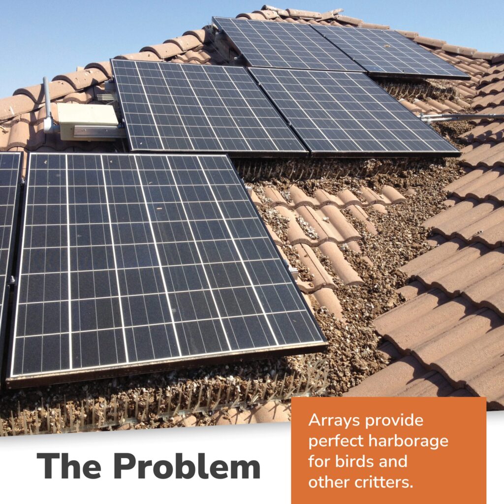 Effective Solar Powered Bird Deterrents: Eco-Friendly Solutions for Your Yard